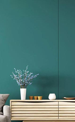 Wuxi Re-Home New Materials Co., Ltd.